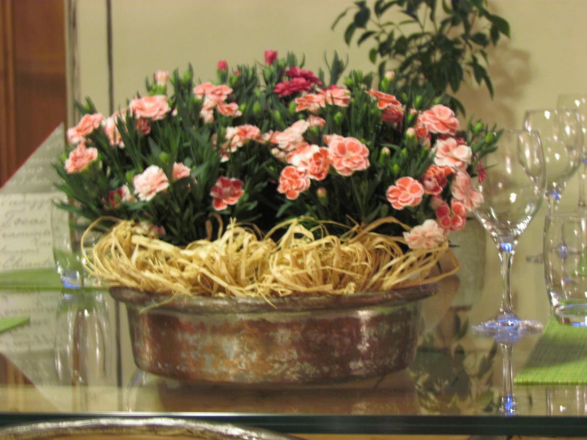 Hotel Duc De Rohan 리비뇨 외부 사진